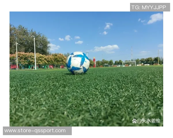 足球之心书：探索激情与梦想交织的绿茵传奇与人生启示